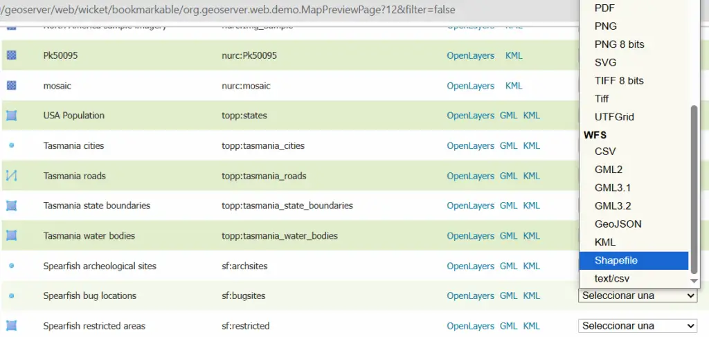 Vista previa de capas en GeoServer con los formatos de salida WMS y WFS, como GeoJSON y Shapefile